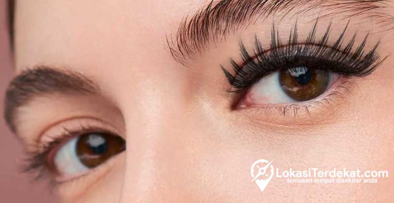 Eyelash Terdekat