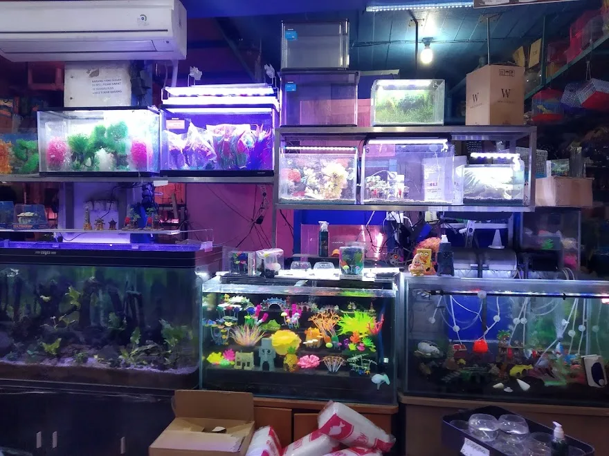 Aneka Jenis Akuarium di Toko Aquarium Terdekat