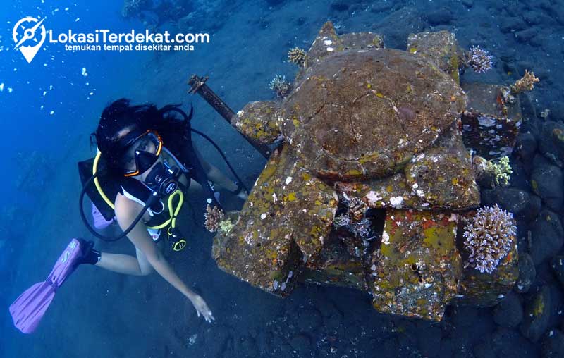 Diving Tulamben