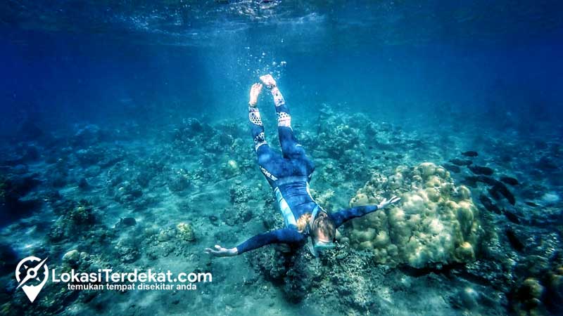 Snorkeling di Pantai Amed