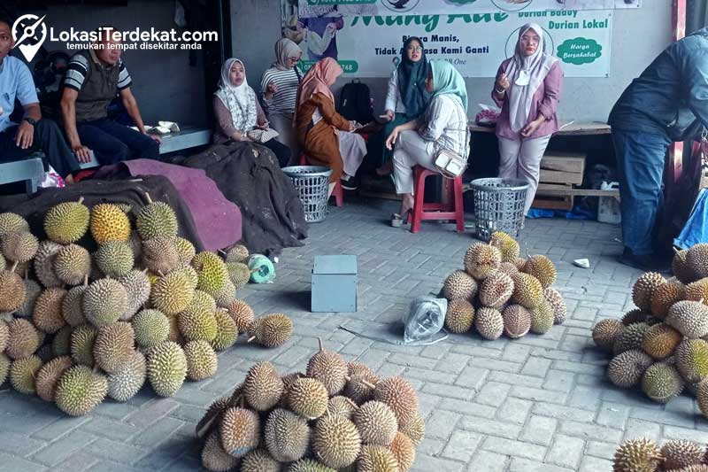 Jual Durian Terdekat