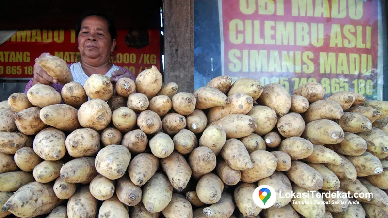 Ubi Cilembu Terdekat